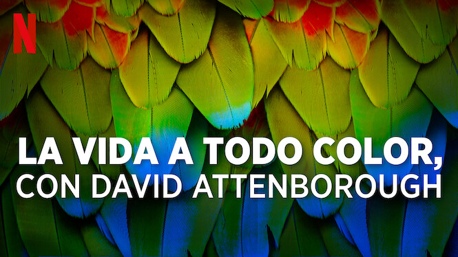 La vida a todo color, con David Attenborough